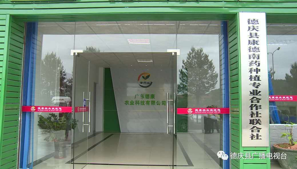 一批青年科学家说要来肇庆,助力这项大poject!