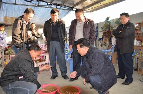 询问当地农民龟鳖养殖的有关情况