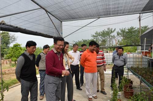 调研组在河台镇巴戟天种植科普示范基地实地调研