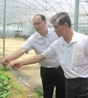 江门市科协主席赵树培到恩平市牛江镇农村科普示范基地调研