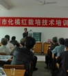 茂名化州两级科协联合举办化橘红专题科技集市活动