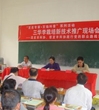 茂名、信宜两级科协联合举办三华李栽培新技术推广现场会