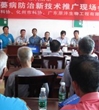 茂名市科协组织举办香蕉栽培新技术推广活动