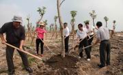 茂名市科协、科技局在露天矿生态公园种下“科技林”