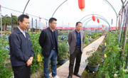 惠州市惠阳区科协到四季绿公司调研