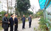 惠州市惠阳区科协到区盆景协会指导工作