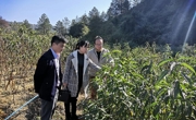 河源市连平县科协到县鹰嘴蜜桃产业技术创新中心开展调研