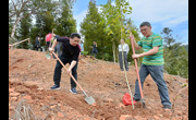 清远市连山县科协举办“全域增绿”义务植树主题党日活动