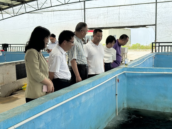 2024_06_19_15_36_IMG_6385 - 副本 2024_06_19_15_36_IMG_6385 - 副本