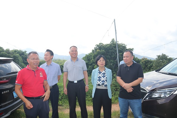 IMG_3944 - 副本 IMG_3944 - 副本