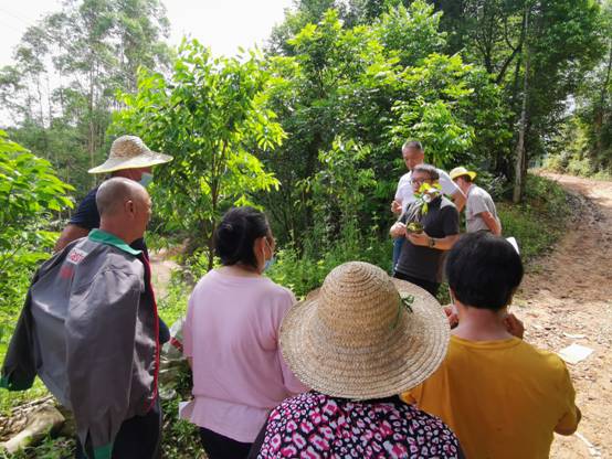 202206201017466332.jpg 202206201017466332.jpg