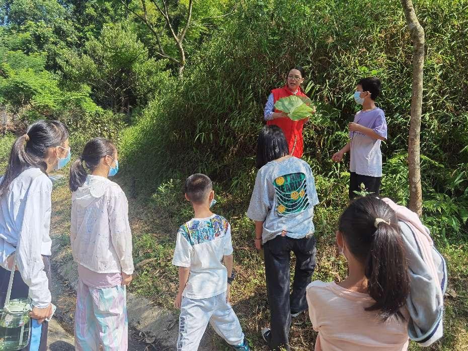 202211081200288465.jpg 202211081200288465.jpg