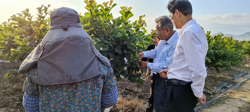 202211181536267236.jpg 202211181536267236.jpg