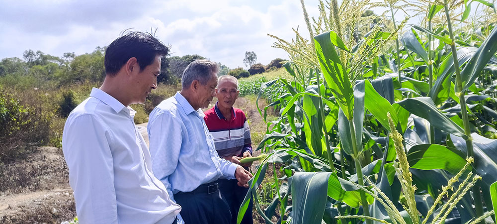 202211181536543883.jpg 202211181536543883.jpg