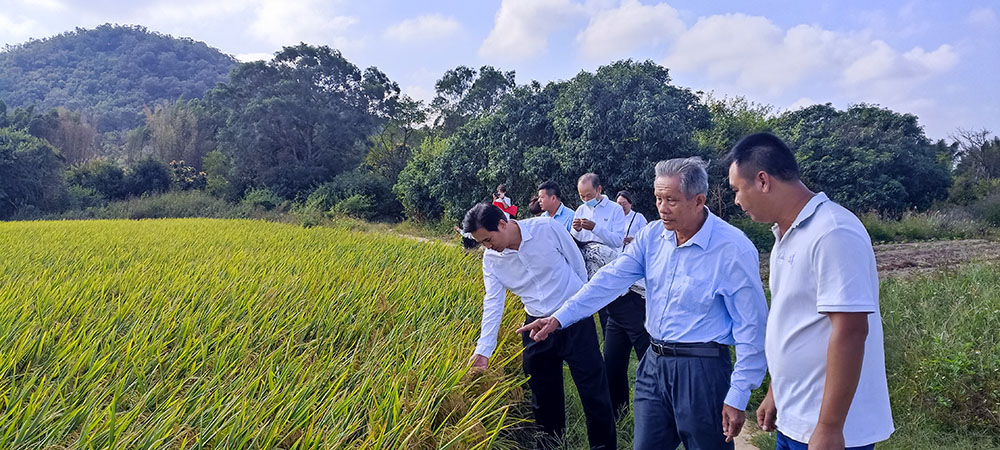 202211181539068575.jpg 202211181539068575.jpg