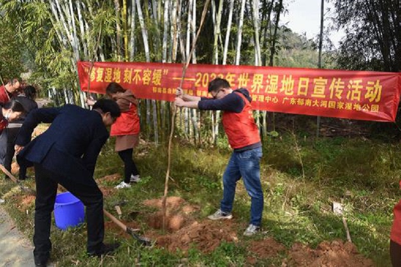 202302060840213658.jpg 202302060840213658.jpg