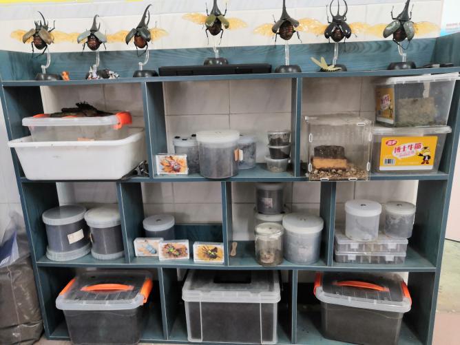 202304121521554495.jpeg 202304121521554495.jpeg