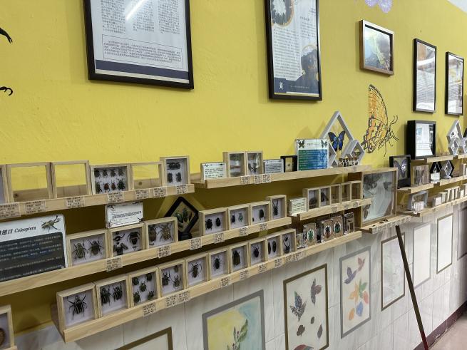 202304121521558725.jpeg 202304121521558725.jpeg