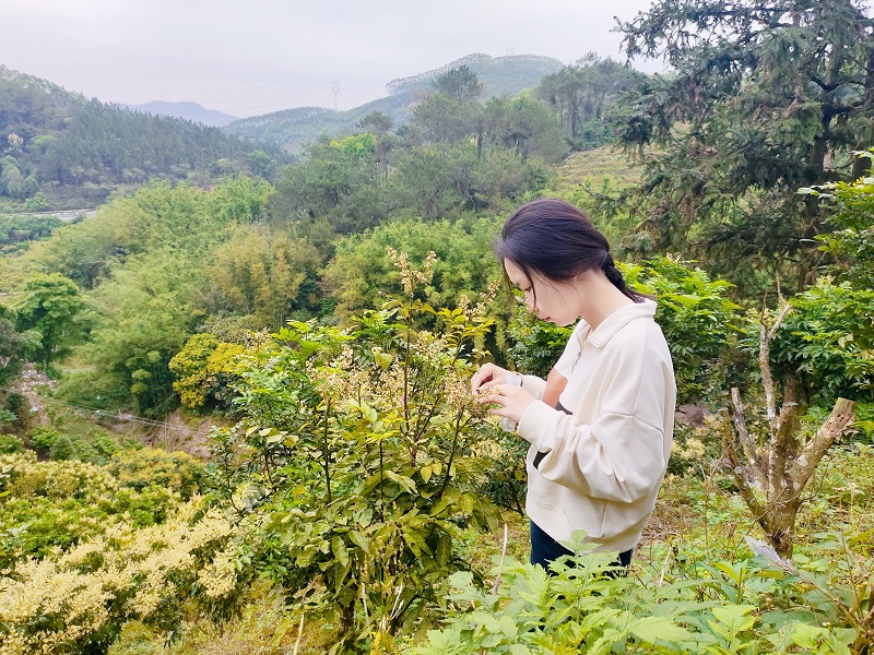 202305120917214963.jpg 202305120917214963.jpg