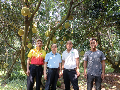 202305311737210661.png 202305311737210661.png