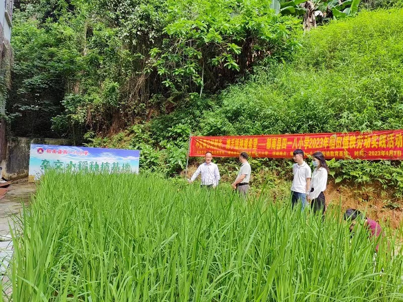 202306011745377718.jpg 202306011745377718.jpg