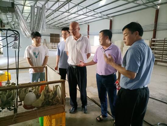 202306021652593902.jpg 202306021652593902.jpg