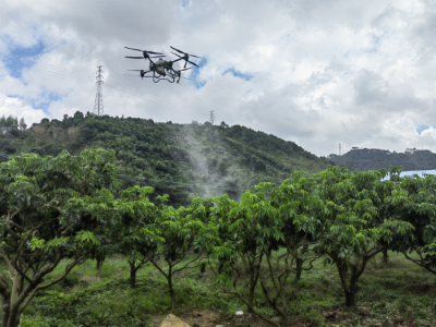 202309210834202397.png 202309210834202397.png