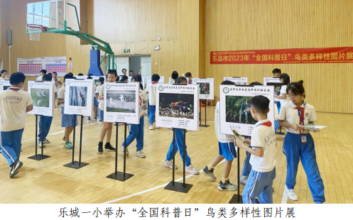 202310081455209081.png 202310081455209081.png