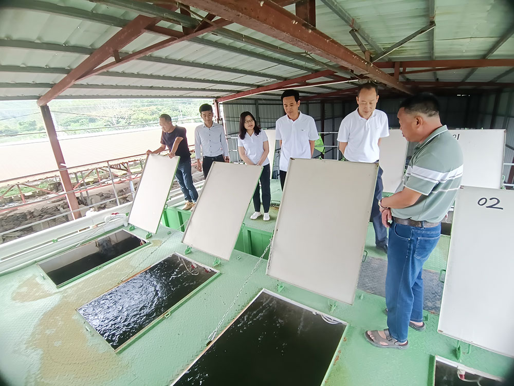 202310251613406308.jpg 202310251613406308.jpg