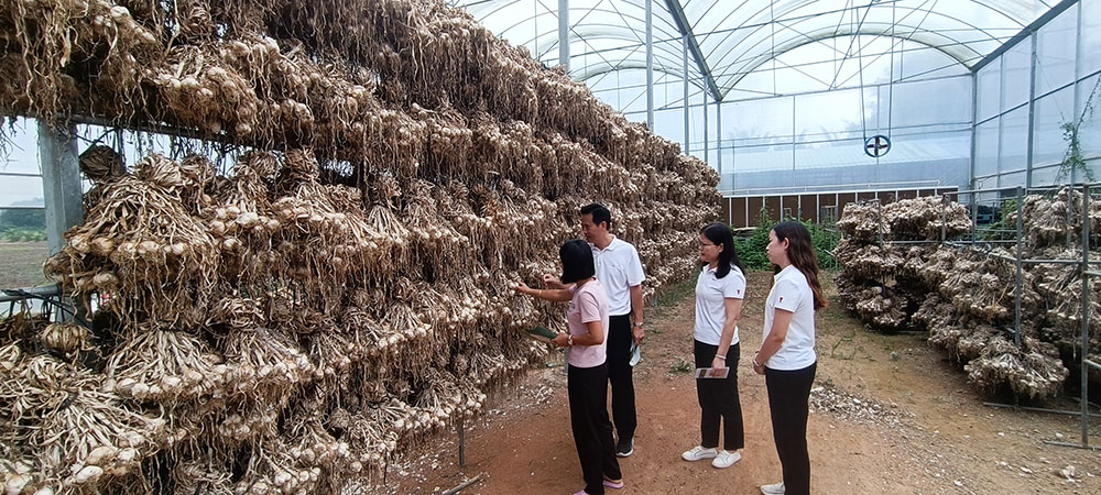 202310251614456933.jpg 202310251614456933.jpg