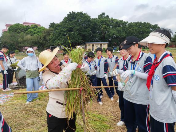 202311211731008229.jpg 202311211731008229.jpg