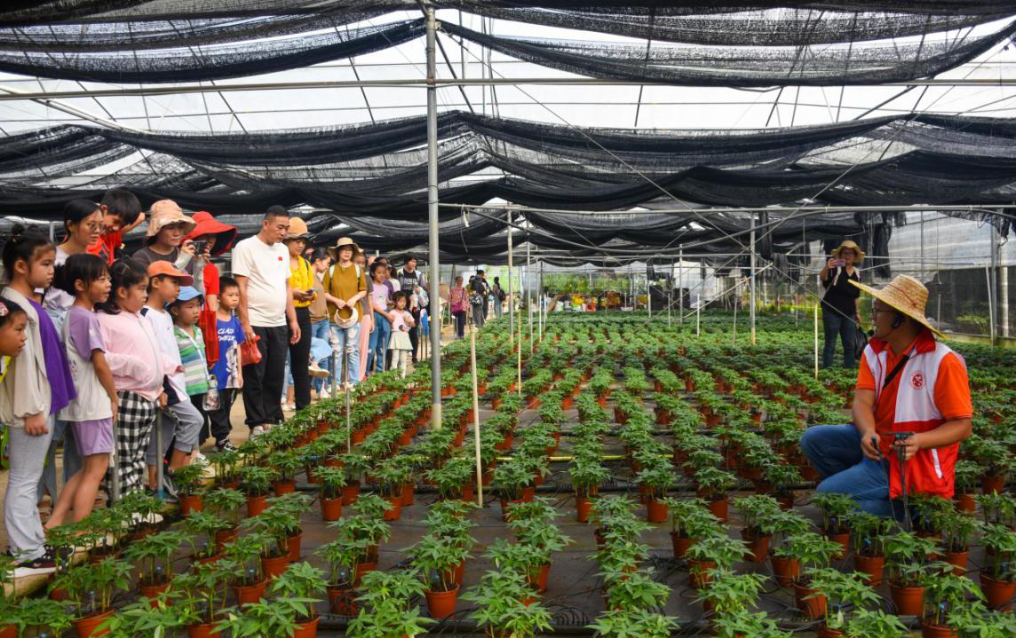 202311220850582007.jpg 202311220850582007.jpg