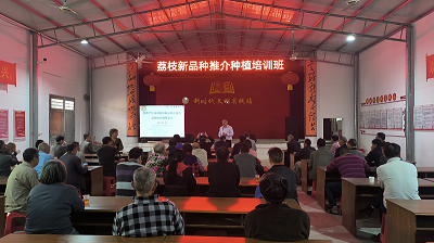 202312201130441107.png 202312201130441107.png