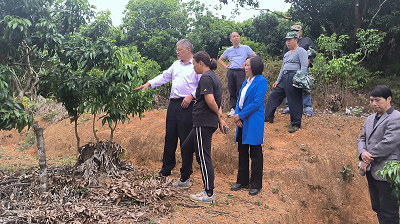 202312201131422123.png 202312201131422123.png