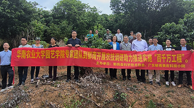 202312201133432433.png 202312201133432433.png