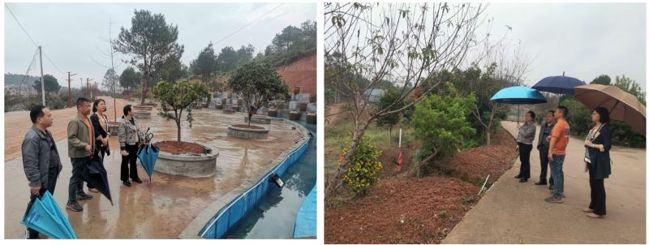 202401101730284191.jpg 202401101730284191.jpg