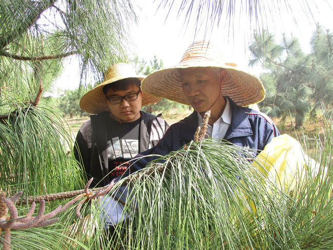 202401291438085702.jpg 202401291438085702.jpg