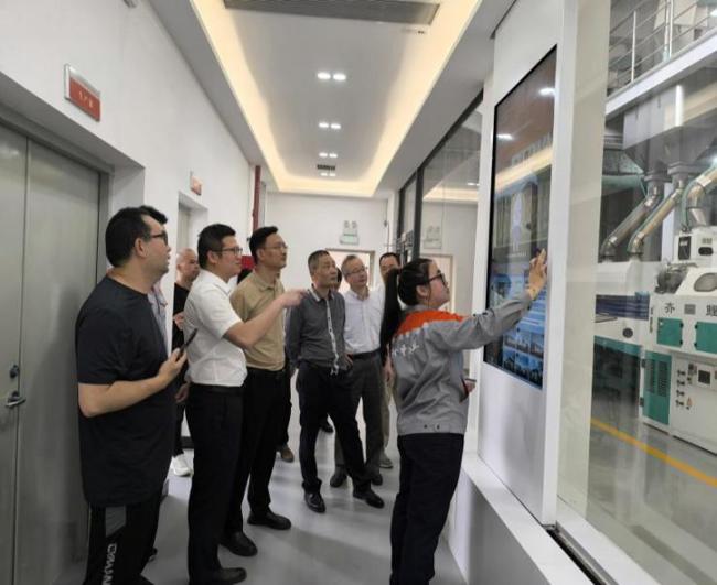 现场调研台山市国有粮食品有限公司斗山分公司