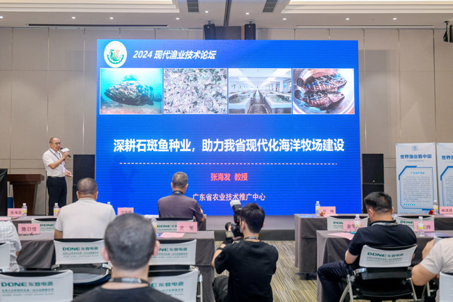 微信图片_20240612094623_副本