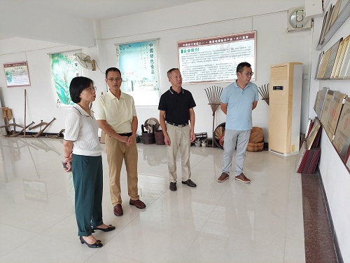 01 - 副本 01 - 副本