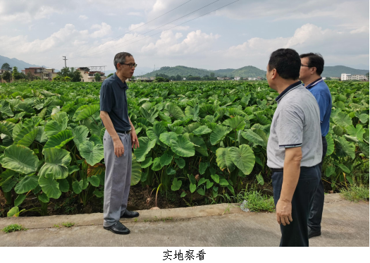 市科协对基层科普行动计划项目推进情况进行检查2