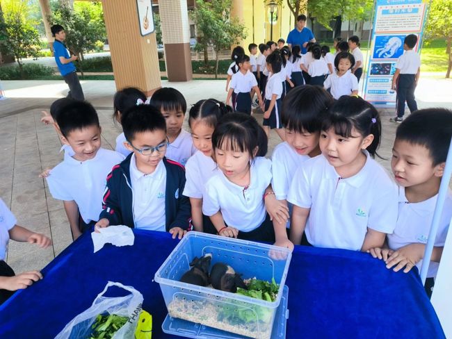 1728697740111706 1728697740111706