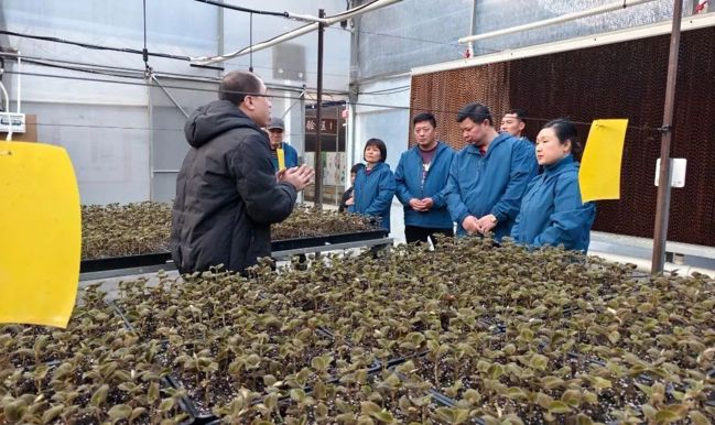 微信图片_20250120162010