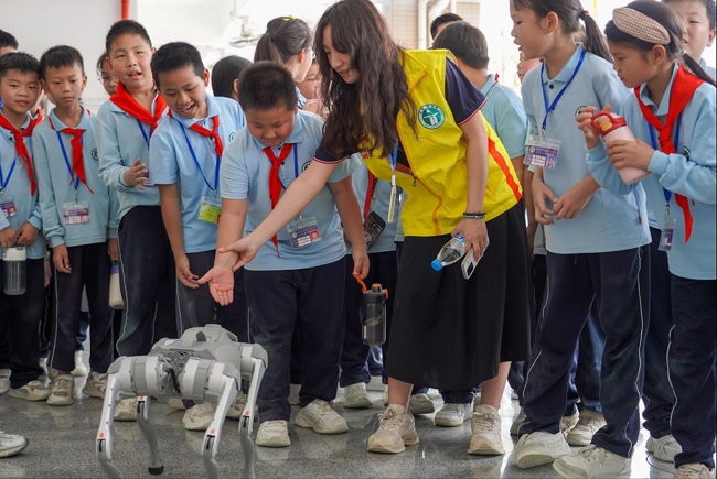 与科技狗互动(1) 与科技狗互动(1)