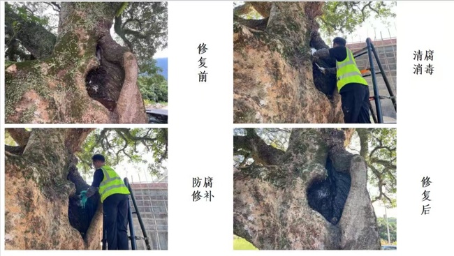 微信图片_20250513154629