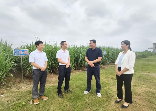 参观甘蔗种苗科普教育基地