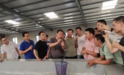 湛江市徐闻县举办对虾养殖技术专题培训
