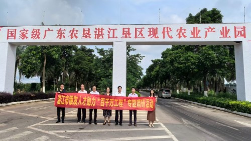 湛江市银发人才助力“百千万工程”专题调研走进国家级湛江垦区现代农业产业园