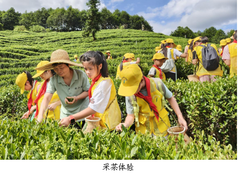 翁源县开展2025年“茶香传非遗 文明润童心”茶文化科普教育实践活动1