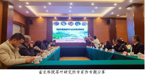 凝心聚智话茶事  赋能提质兴白毛1